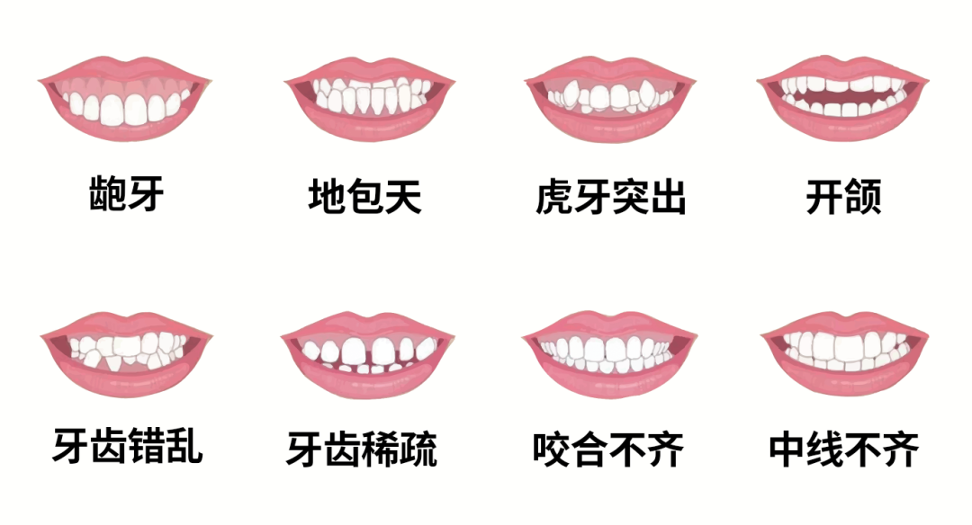 微信图片_20230829153305_2.png